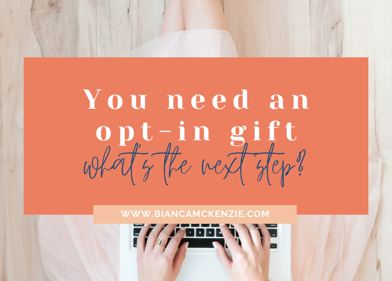 You need an opt-in gift, what’s the next step?