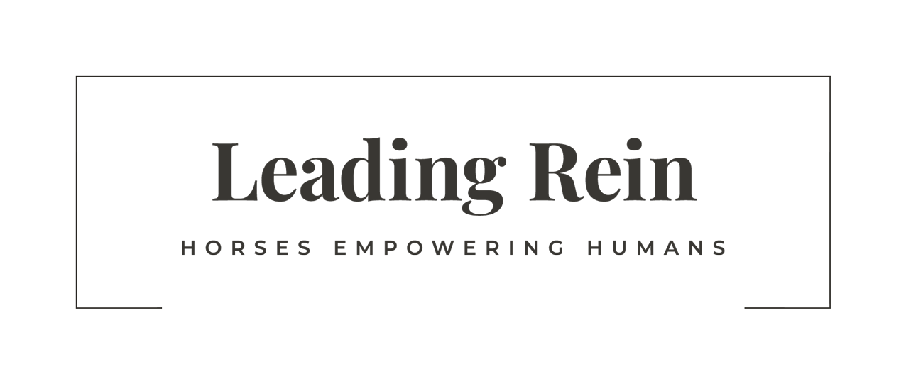 Leading_Rein-Main-RGB-grey+border - Melissa Duniam